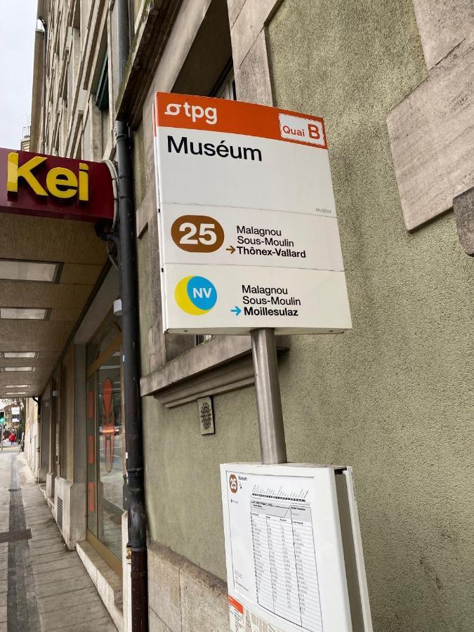 Geneve, Plein Centre,Belle Vue Lac, Splendide Et Grand Appartement Екстериор снимка
